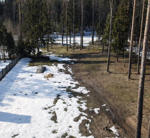 Участок в КП Лесные зори