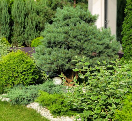 Стильный дом в КП Миллениум парк