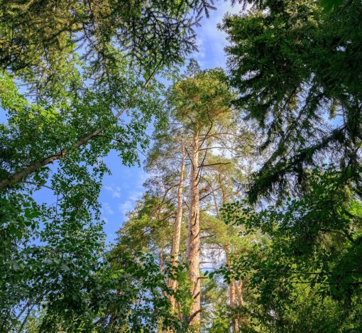 Дом в КП Покровское-Рубцово