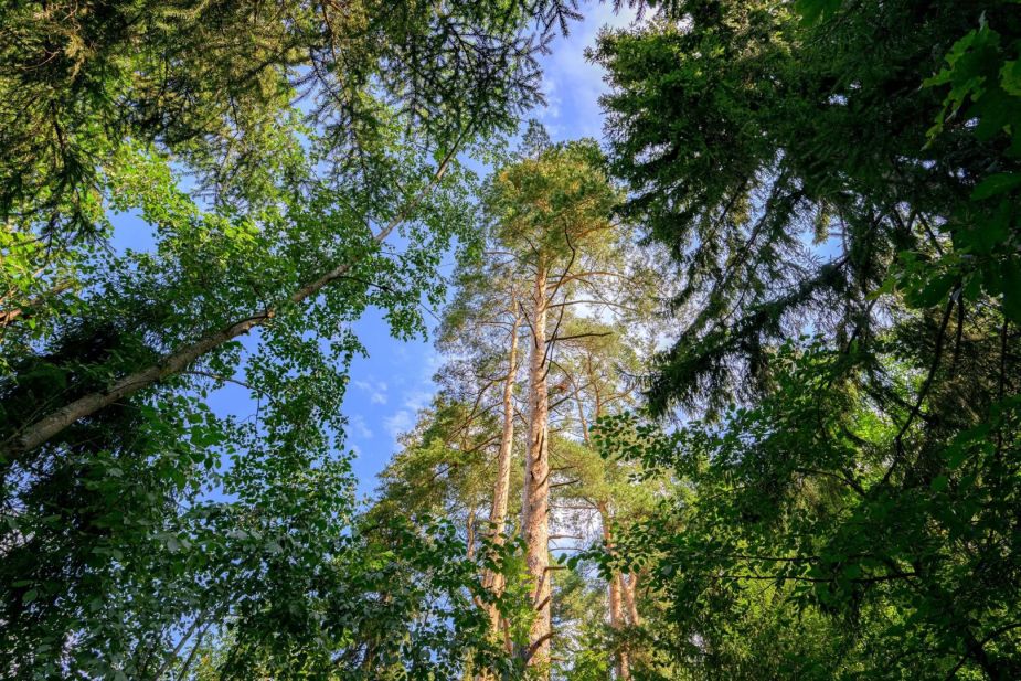 Дом в КП Покровское-Рубцово