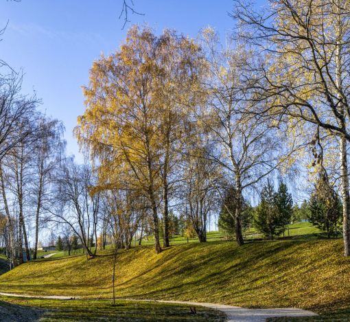 Кристал Истра