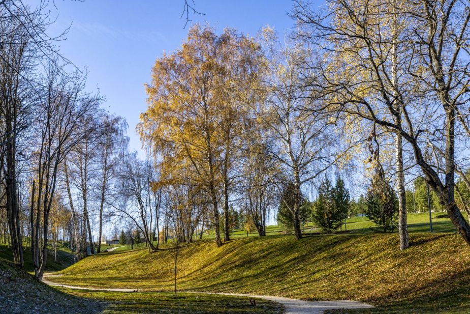 Кристал Истра