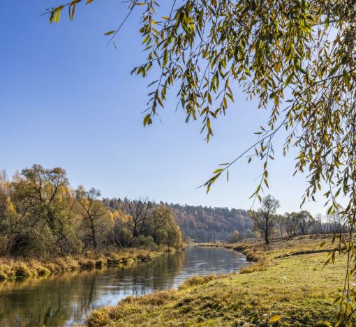 Кристал Истра