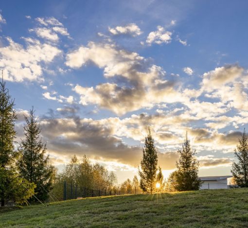 Кристал Истра