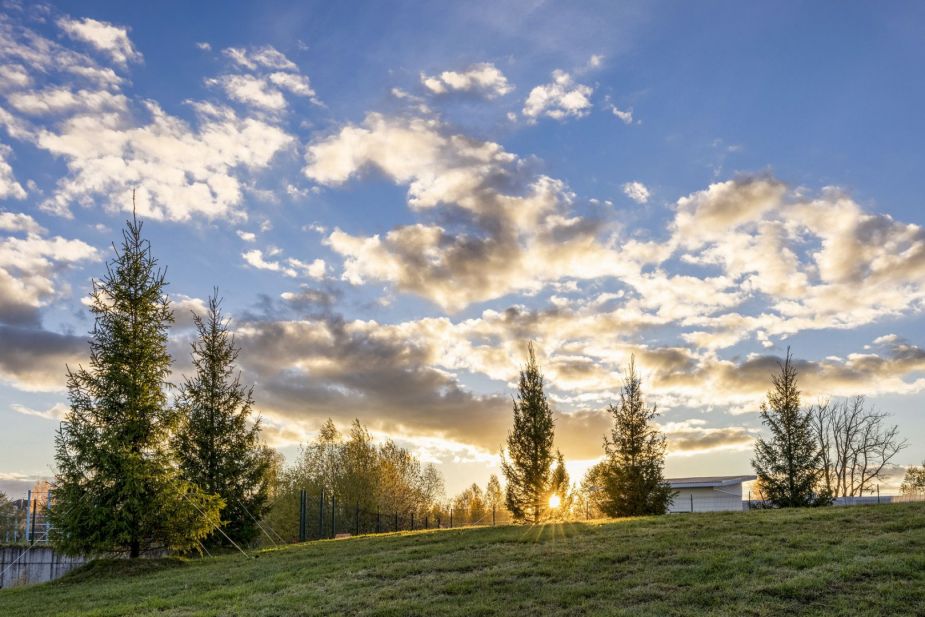 Кристал Истра