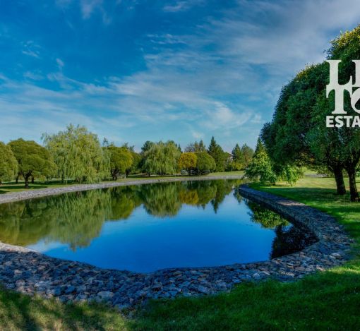 Готовый дом в Миллениум парке