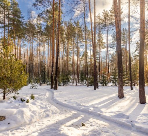 Дом в Кп Николина Слобода