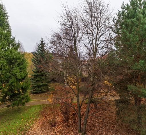 Дом в КП Миллениум парк