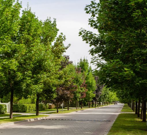 Готовый дом в Резиденции Бенилюкс