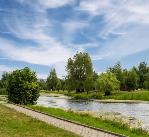 Участок в Резиденции Бенилюкс