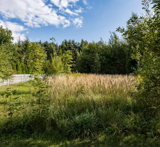 Участок в Резиденции Бенилюкс