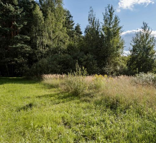 Участок в Резиденции Бенилюкс