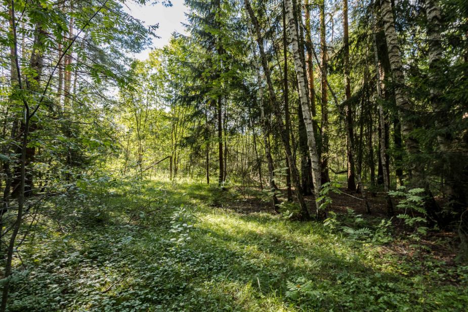 Участок в Резиденции Бенилюкс