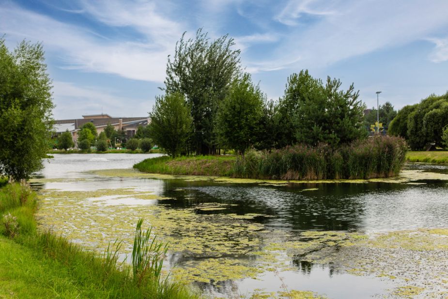 Дом в КП Резиденция Бенилюкс