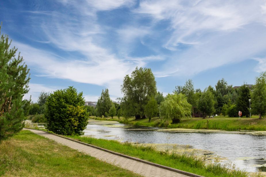 Резиденции Бенилюкс