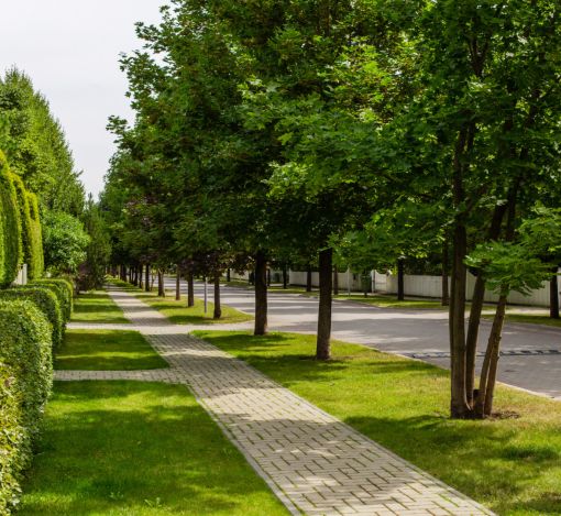 Резиденции Бенилюкс