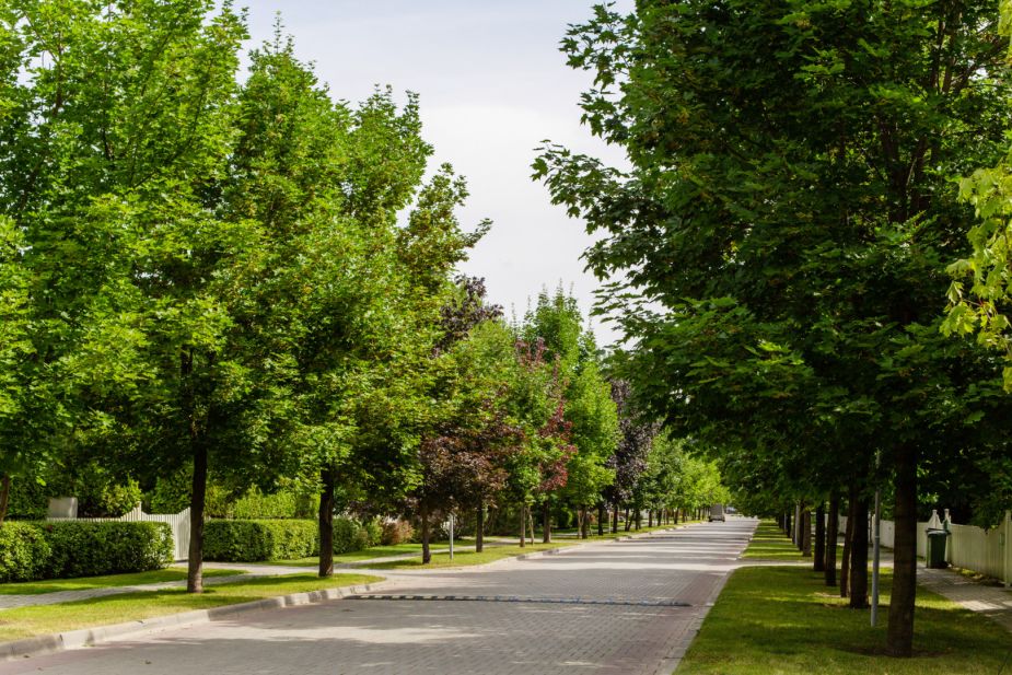 Резиденции Бенилюкс