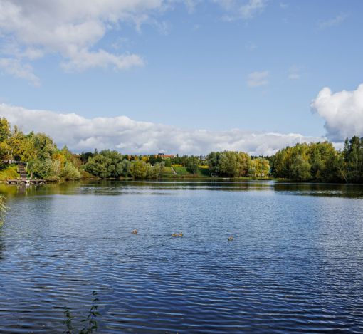 Новый дом в поселке Веледниково
