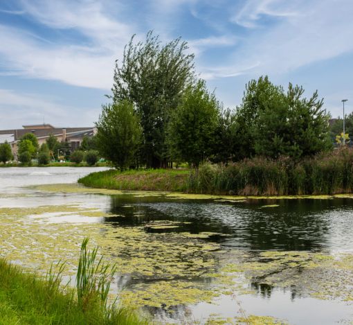 Участок в КП Резиденции Бенилюкс