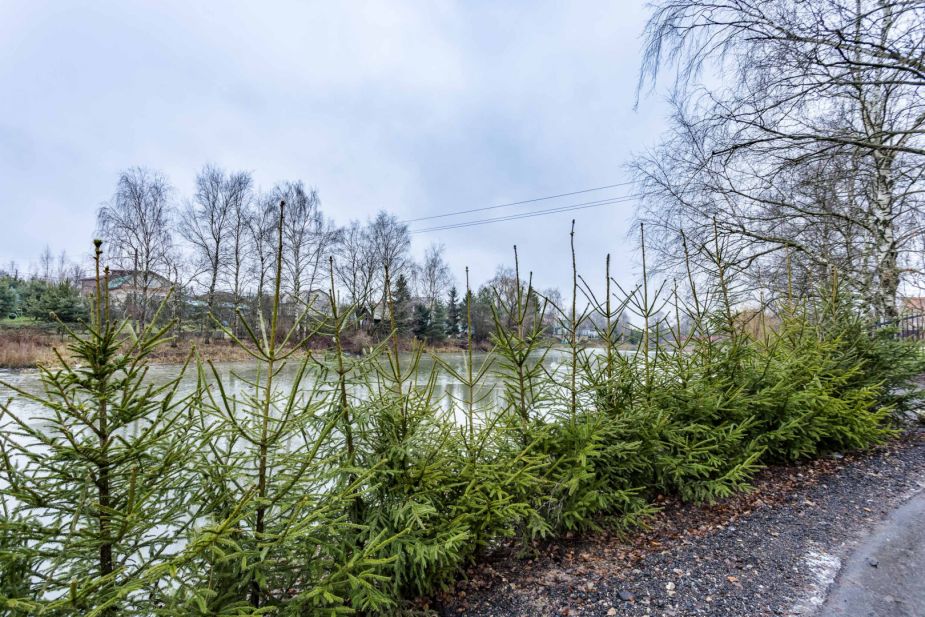 Покровское