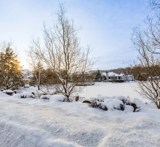 Участок в кп Княжье Озеро