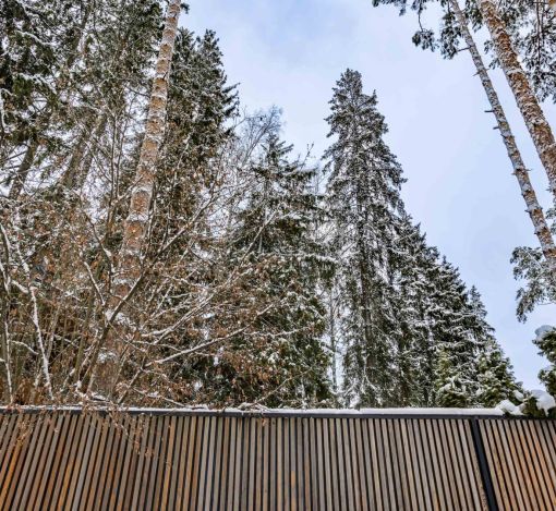 Дом в сосновом лесу в Липка ССПК