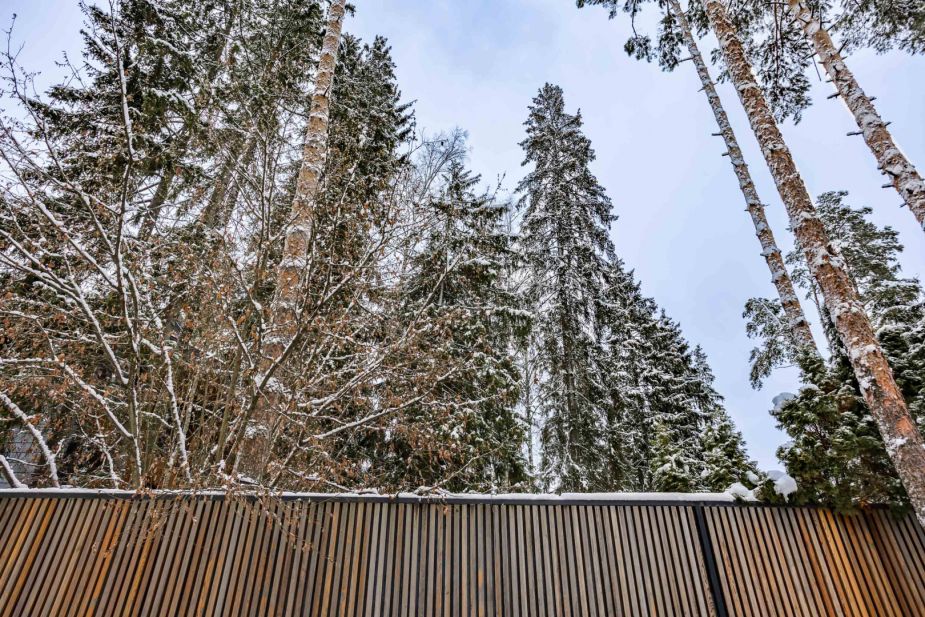 Дом в сосновом лесу в Липка ССПК