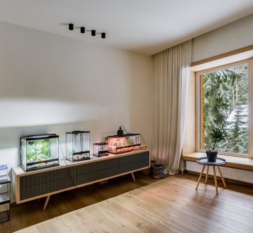 Дом в сосновом лесу в Липка ССПК