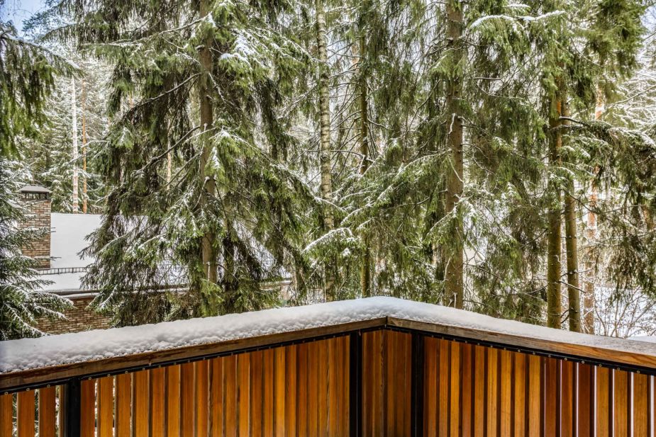 Дом в сосновом лесу в Липка ССПК