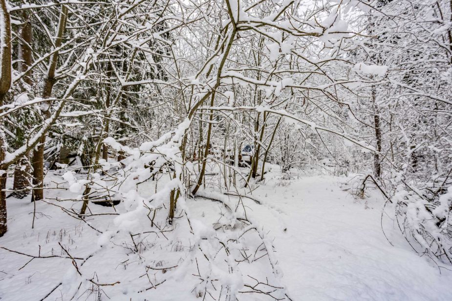 Лесной участок в КП Вымпел