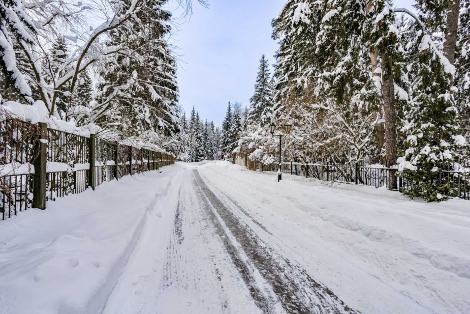 Участок у леса в КП Шервуд