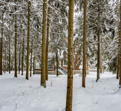 Участок у леса в КП Шервуд