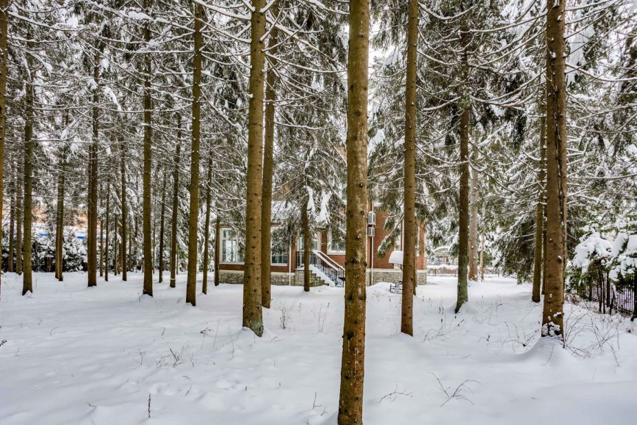 Участок у леса в КП Шервуд