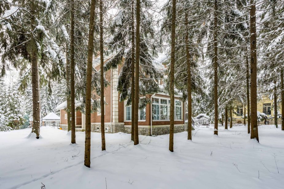 Участок у леса в КП Шервуд