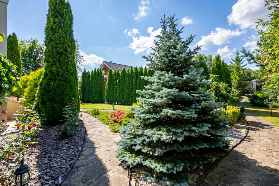 Классический дом в Славково