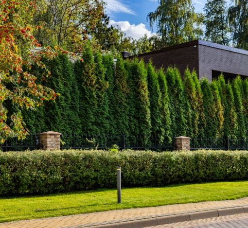 Дом в КП Монтевиль