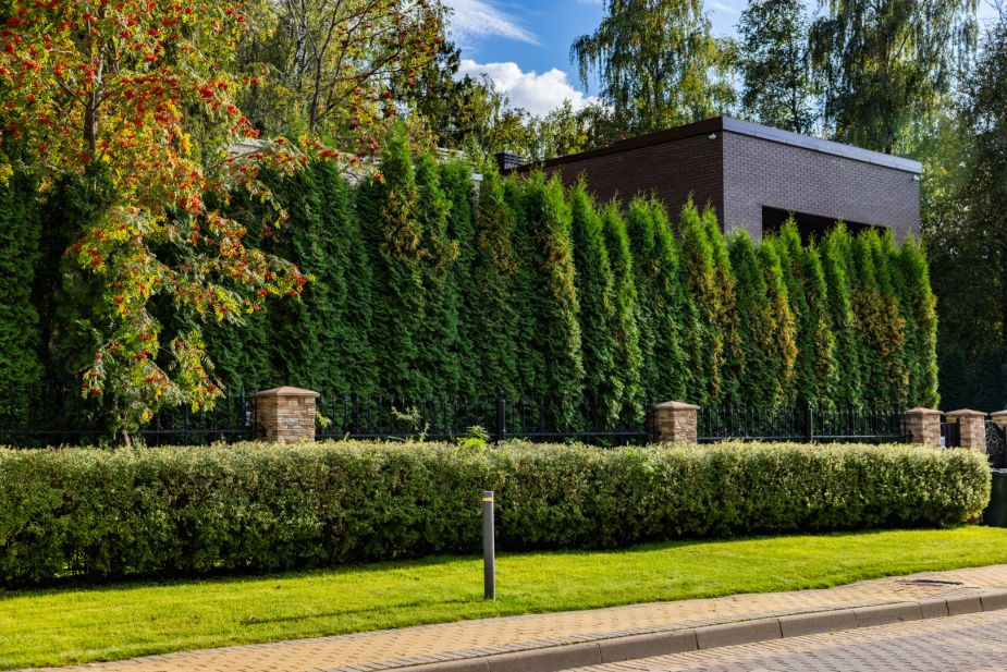 Дом в КП Монтевиль