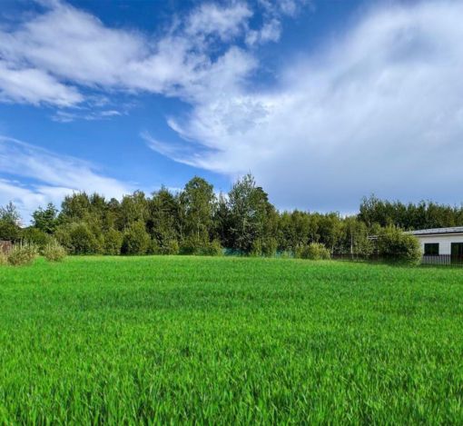 Участок без подряда в Павлово-2