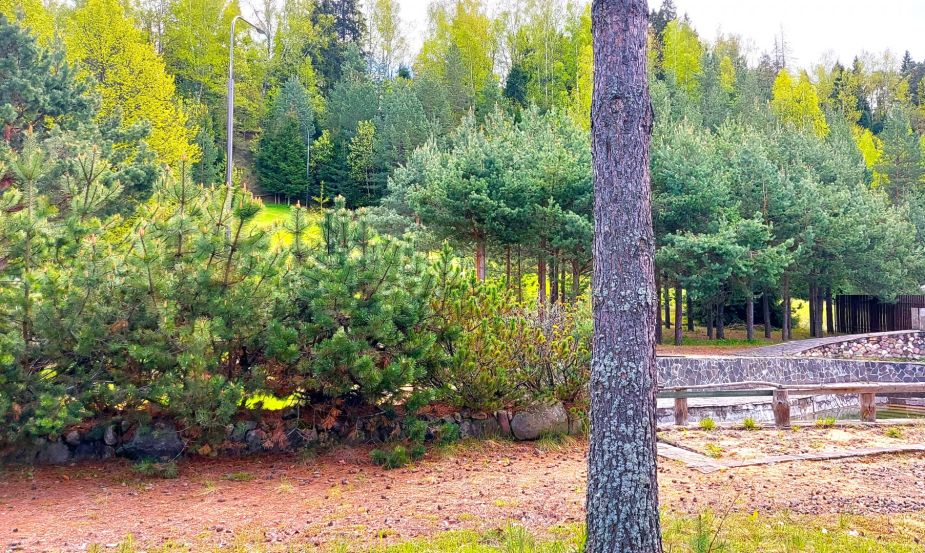 Участок в КП Красновидово-2