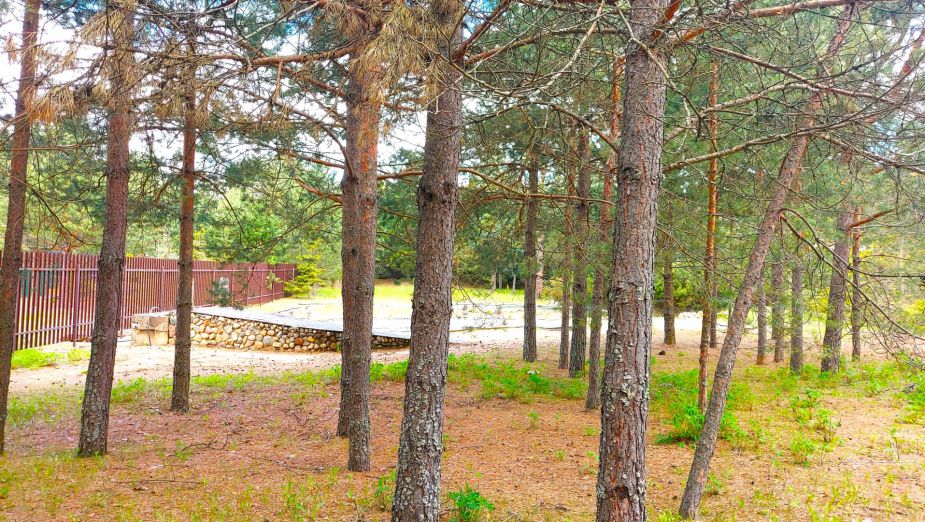 Участок в КП Красновидово-2