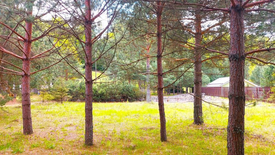 Участок в КП Красновидово-2