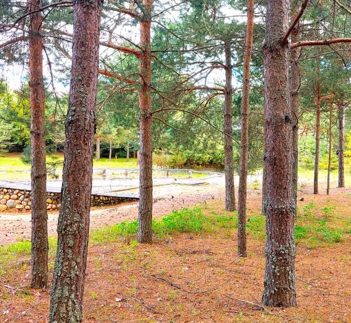 Участок в КП Красновидово-2