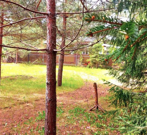 Участок в КП Красновидово-2