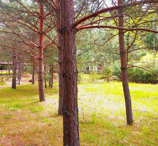 Участок в КП Красновидово-2