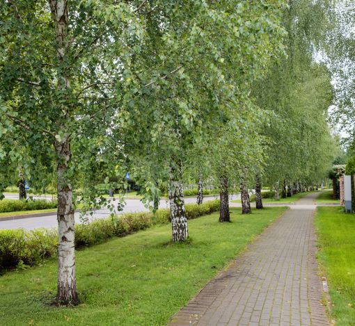 Новый дом у озера КП Гринфилд