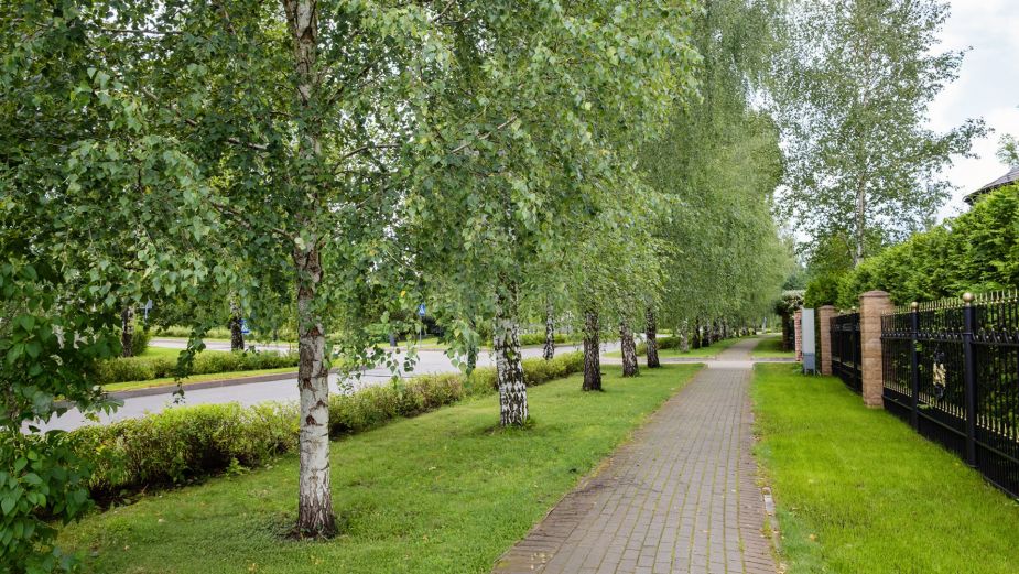 Новый дом у озера КП Гринфилд