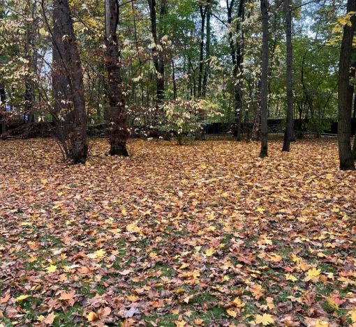 Участок в КП Косыгинские дачи