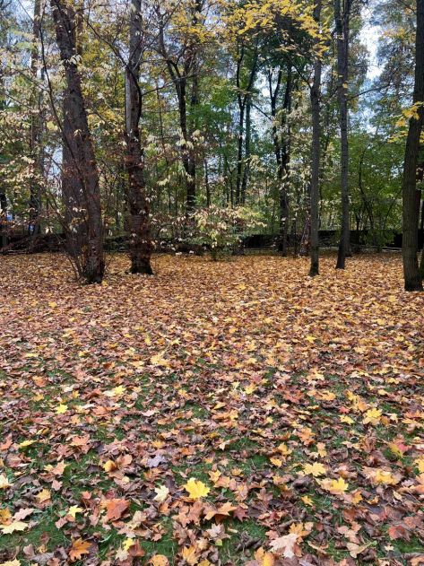 Участок в КП Косыгинские дачи