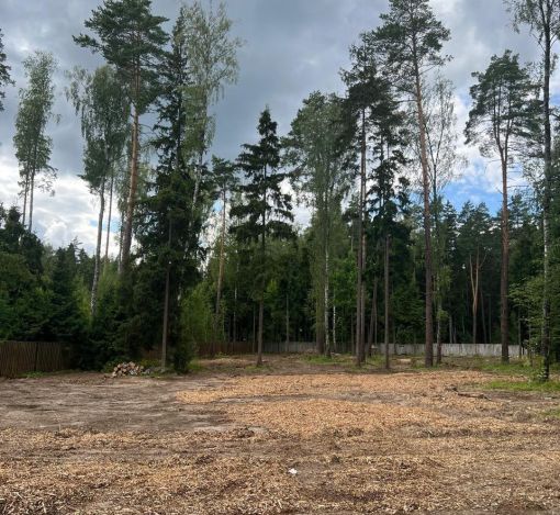 Участок в КП Лесные зори