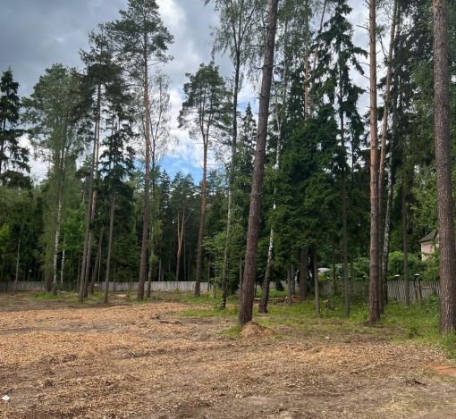 Участок в КП Лесные зори